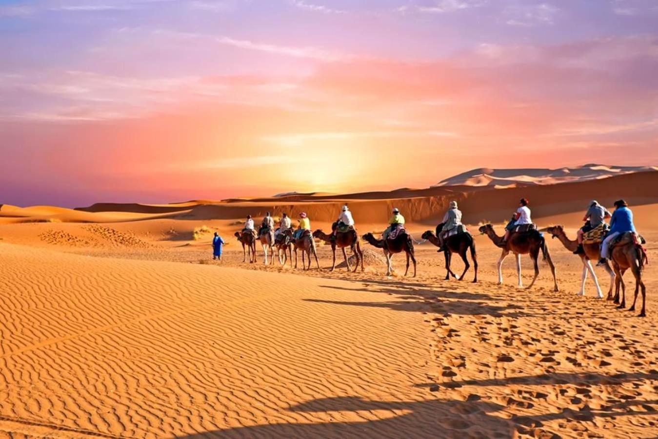 Desert Luxury Camp M'Hamid Dış mekan fotoğraf